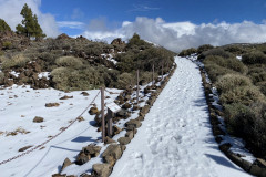 Botanical Garden de El Portillo, Tenerife 23