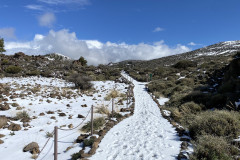 Botanical Garden de El Portillo, Tenerife 24