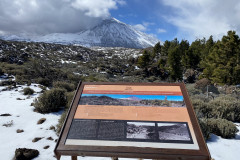 Botanical Garden de El Portillo, Tenerife 28