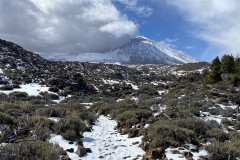 Botanical Garden de El Portillo, Tenerife 32