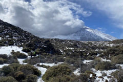 Botanical Garden de El Portillo, Tenerife 33