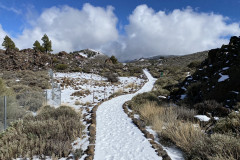 Botanical Garden de El Portillo, Tenerife 37