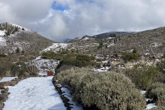 Botanical Garden de El Portillo, Tenerife 38