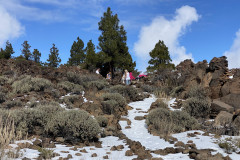 Botanical Garden de El Portillo, Tenerife 39