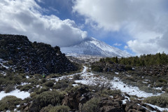 Botanical Garden de El Portillo, Tenerife 40