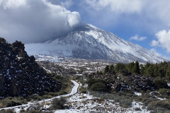 Botanical Garden de El Portillo, Tenerife 41