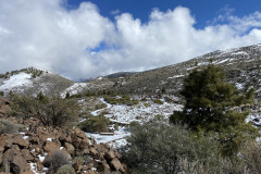 Botanical Garden de El Portillo, Tenerife 42