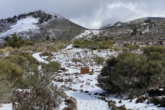 Botanical Garden de El Portillo, Tenerife 43