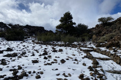 Botanical Garden de El Portillo, Tenerife 44