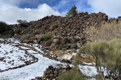 Botanical Garden de El Portillo, Tenerife 45