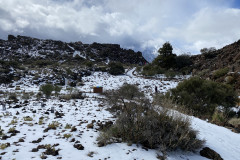 Botanical Garden de El Portillo, Tenerife 46