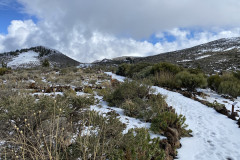 Botanical Garden de El Portillo, Tenerife 47