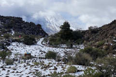 Botanical Garden de El Portillo, Tenerife 48