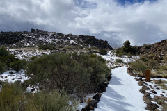 Botanical Garden de El Portillo, Tenerife 49