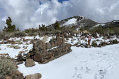 Botanical Garden de El Portillo, Tenerife 50