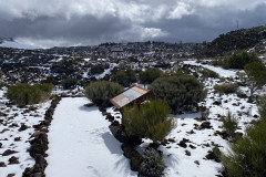 Botanical Garden de El Portillo, Tenerife 51