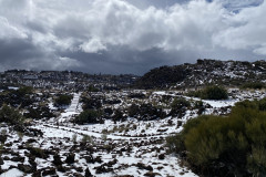 Botanical Garden de El Portillo, Tenerife 53