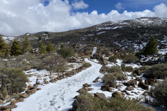 Botanical Garden de El Portillo, Tenerife 55