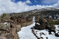 Botanical Garden de El Portillo, Tenerife 58