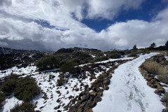 Botanical Garden de El Portillo, Tenerife 59