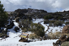 Botanical Garden de El Portillo, Tenerife 60