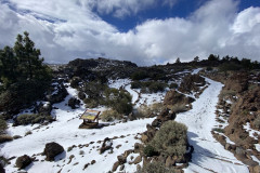 Botanical Garden de El Portillo, Tenerife 61