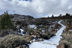 Botanical Garden de El Portillo, Tenerife 63