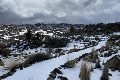 Botanical Garden de El Portillo, Tenerife 68