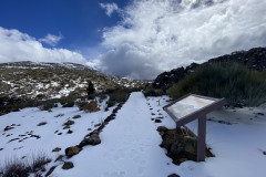 Botanical Garden de El Portillo, Tenerife 70