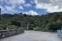 Jardín Botánico Canario Viera y Clavijo, Gran Canaria 01