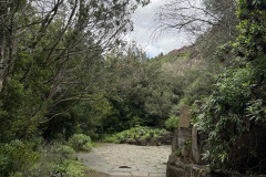 Jardín Botánico Canario Viera y Clavijo, Gran Canaria 104