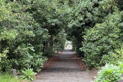 Jardín Botánico Canario Viera y Clavijo, Gran Canaria 106