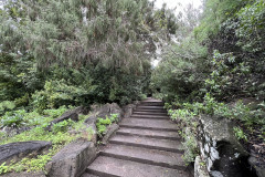 Jardín Botánico Canario Viera y Clavijo, Gran Canaria 107