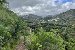 Jardín Botánico Canario Viera y Clavijo, Gran Canaria 109