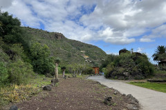 Jardín Botánico Canario Viera y Clavijo, Gran Canaria 11