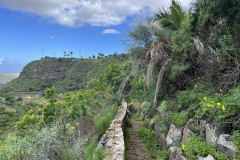 Jardín Botánico Canario Viera y Clavijo, Gran Canaria 120