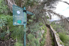 Jardín Botánico Canario Viera y Clavijo, Gran Canaria 121