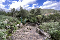 Jardín Botánico Canario Viera y Clavijo, Gran Canaria 126