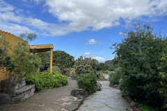 Jardín Botánico Canario Viera y Clavijo, Gran Canaria 130