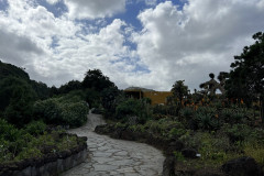 Jardín Botánico Canario Viera y Clavijo, Gran Canaria 136