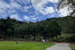 Jardín Botánico Canario Viera y Clavijo, Gran Canaria 15