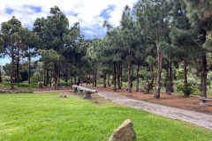 Jardín Botánico Canario Viera y Clavijo, Gran Canaria 21