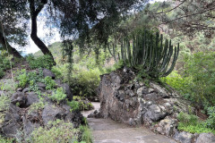 Jardín Botánico Canario Viera y Clavijo, Gran Canaria 36