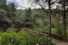 Jardín Botánico Canario Viera y Clavijo, Gran Canaria 38