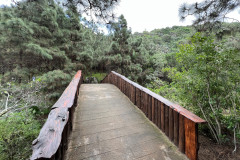 Jardín Botánico Canario Viera y Clavijo, Gran Canaria 39