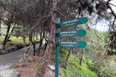 Jardín Botánico Canario Viera y Clavijo, Gran Canaria 41