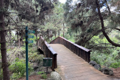 Jardín Botánico Canario Viera y Clavijo, Gran Canaria 43