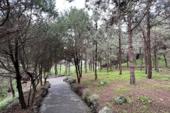 Jardín Botánico Canario Viera y Clavijo, Gran Canaria 44