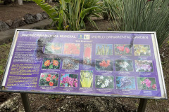 Jardín Botánico Canario Viera y Clavijo, Gran Canaria 59