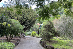 Jardín Botánico Canario Viera y Clavijo, Gran Canaria 62